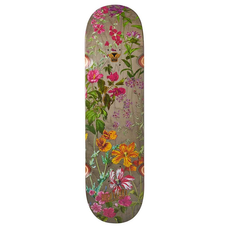 MONARCH DIEGO NAJERA BOTANIC R7 8.375