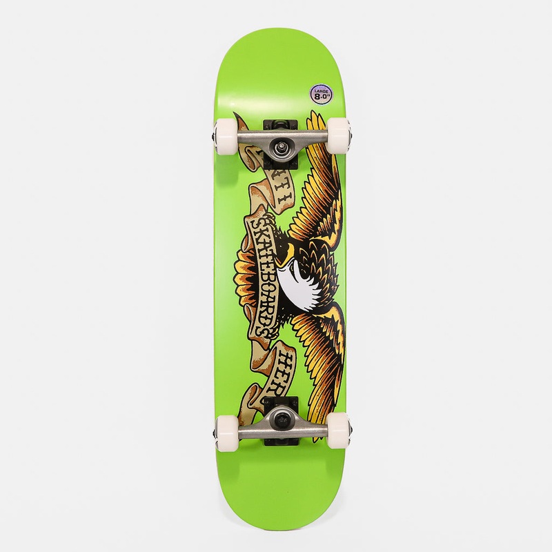 Anti Hero Skateboards – 8.0″ Classic Eagle Complete Skateboard – Green