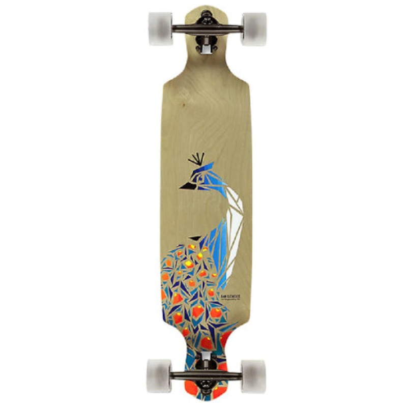 San Clemente Birds of Paradise Peacock Longboard Complete 36″ 36″