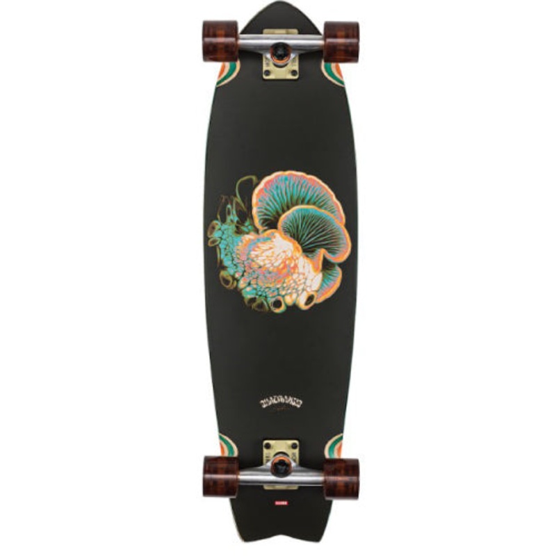 Globe Chromantic Bio-Morph Cruiser Complete 33″ 33″