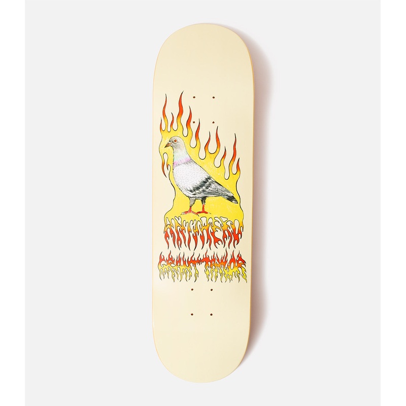 Antihero Grant Taylor Pigeon Vision Deck 8.5″