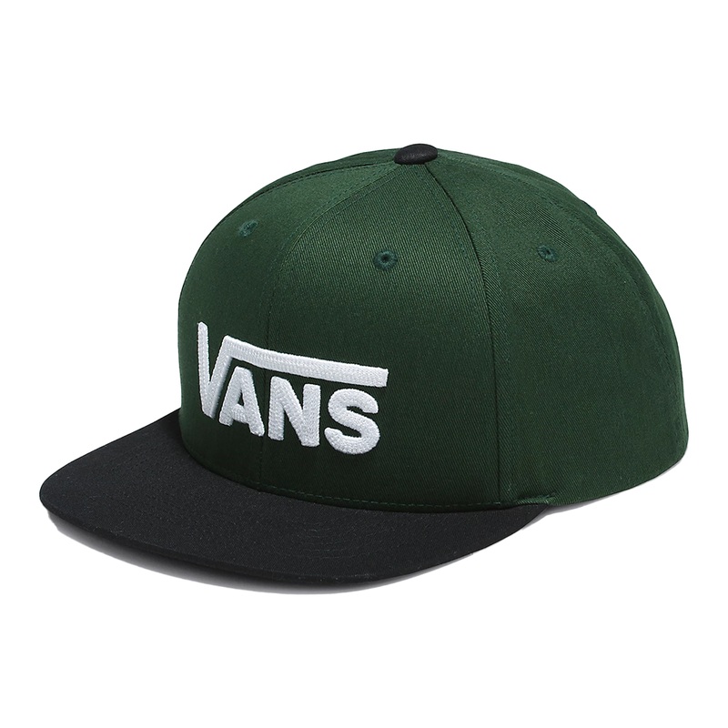 Vans Kids Drop V ll Snapback Mountain View Mountain View